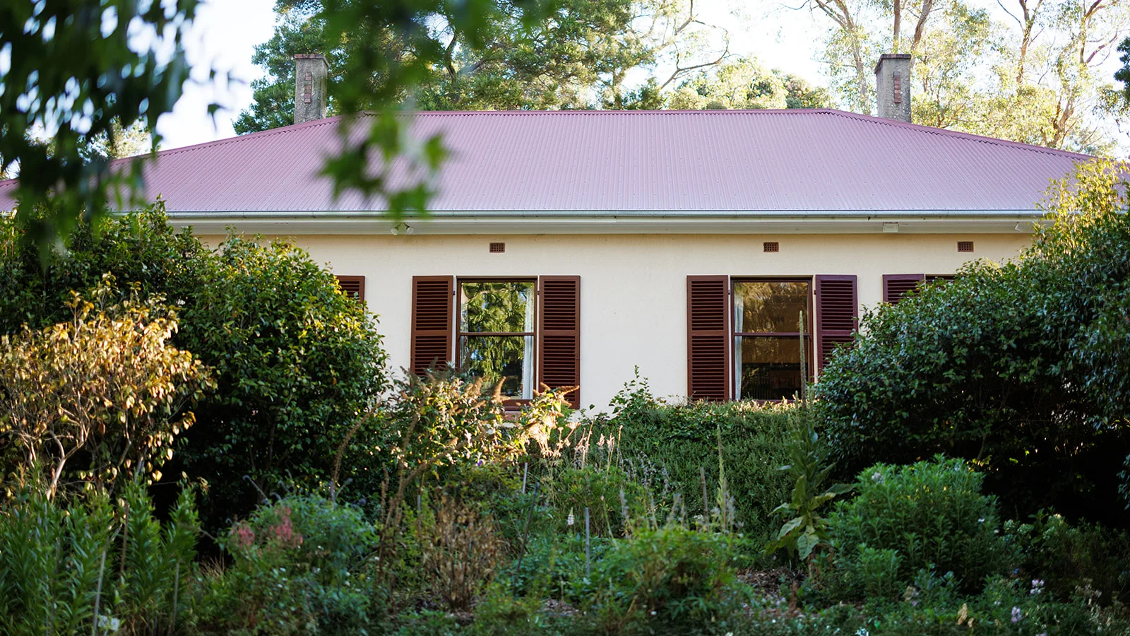 Paint & Picnic @ Stangate House