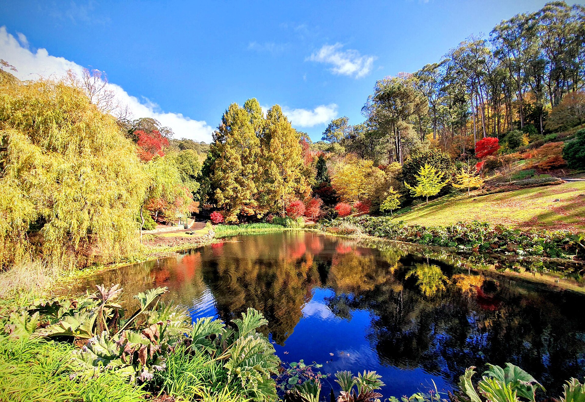 Gardens and autumn colour drive