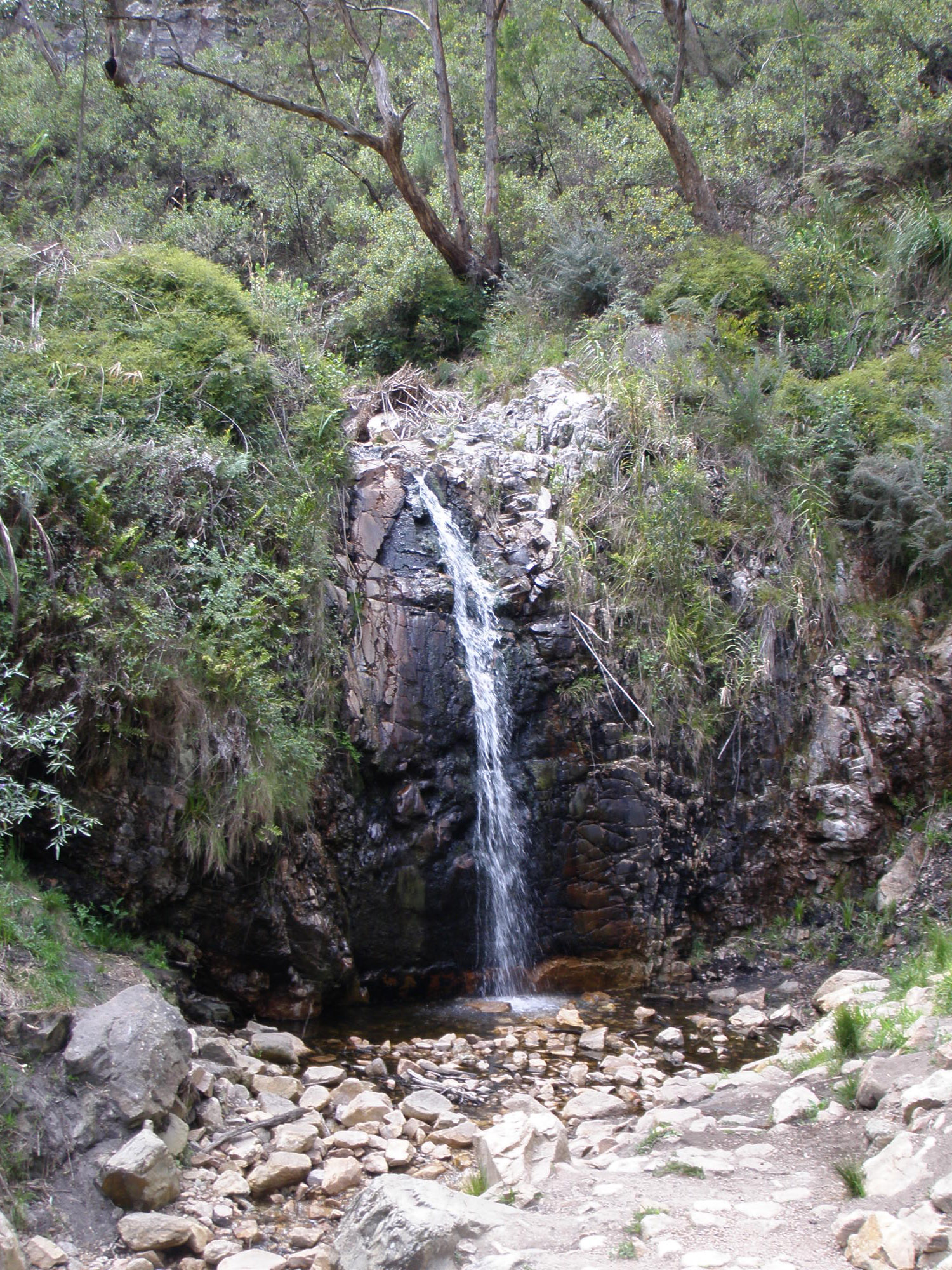 The best walks in the Adelaide Hills