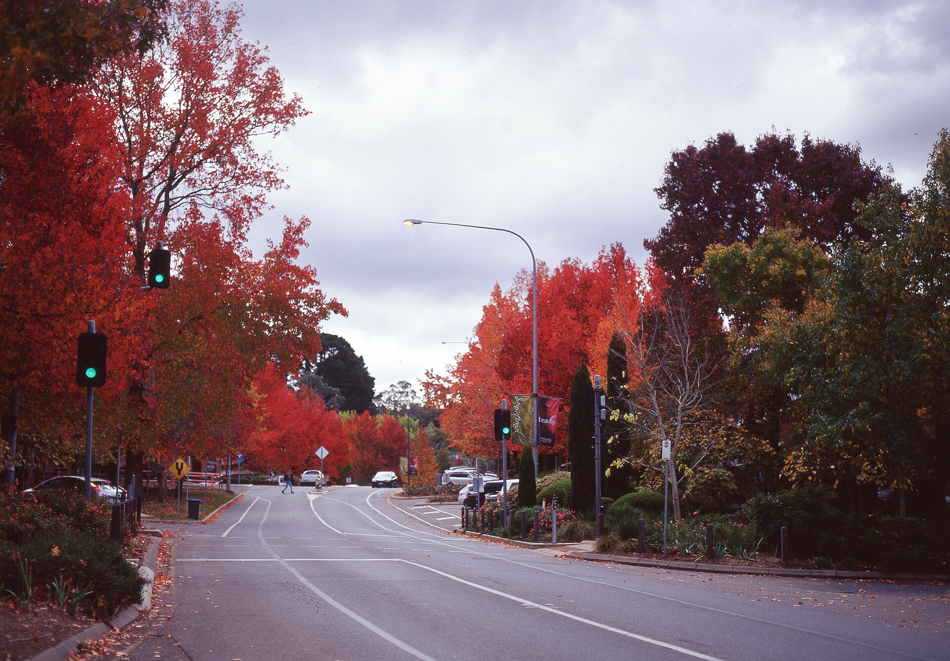 Best Autumn-Colour Spots in the Adelaide Hills