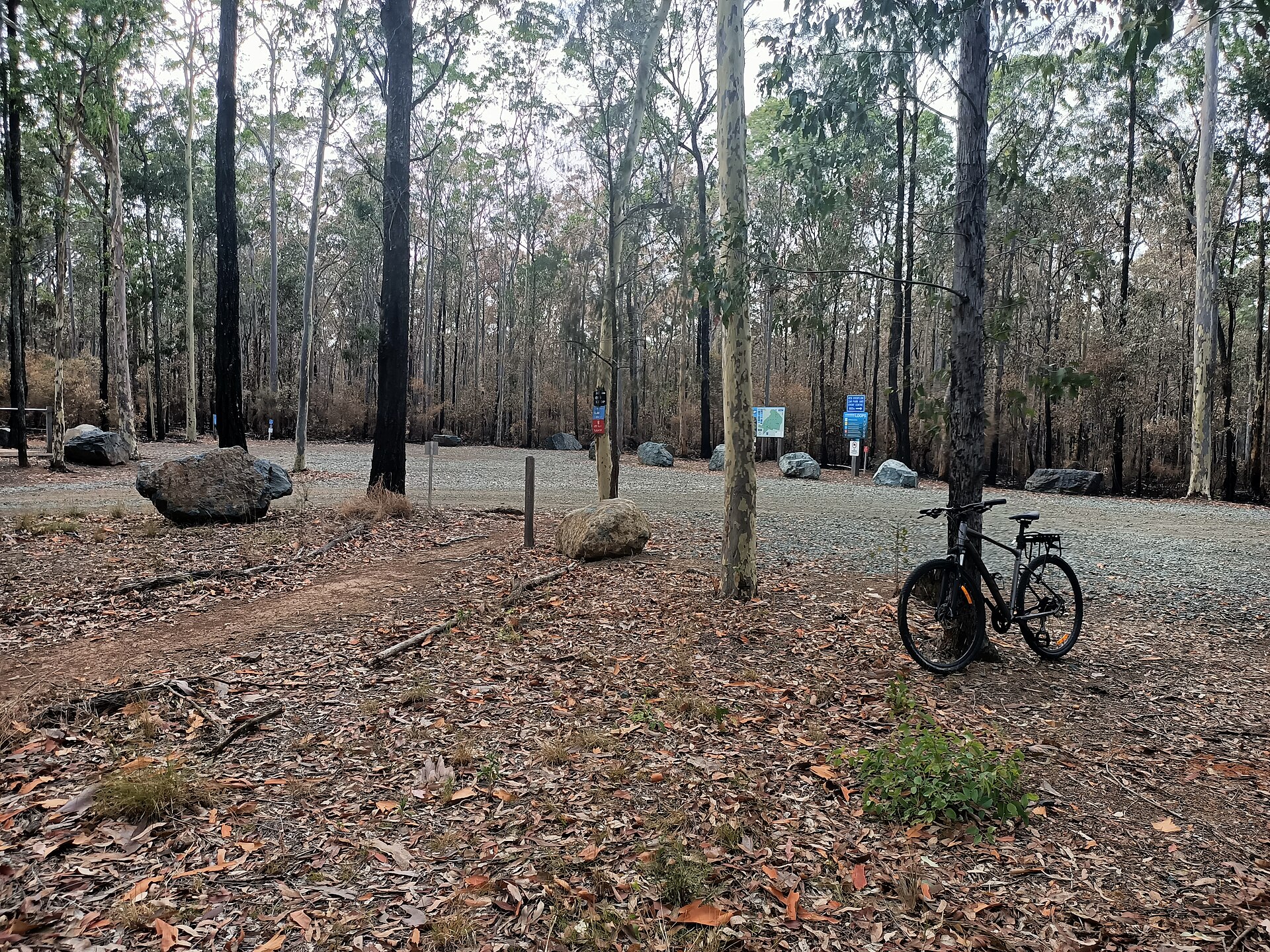 The best outdoor adventures in the Adelaide Hills