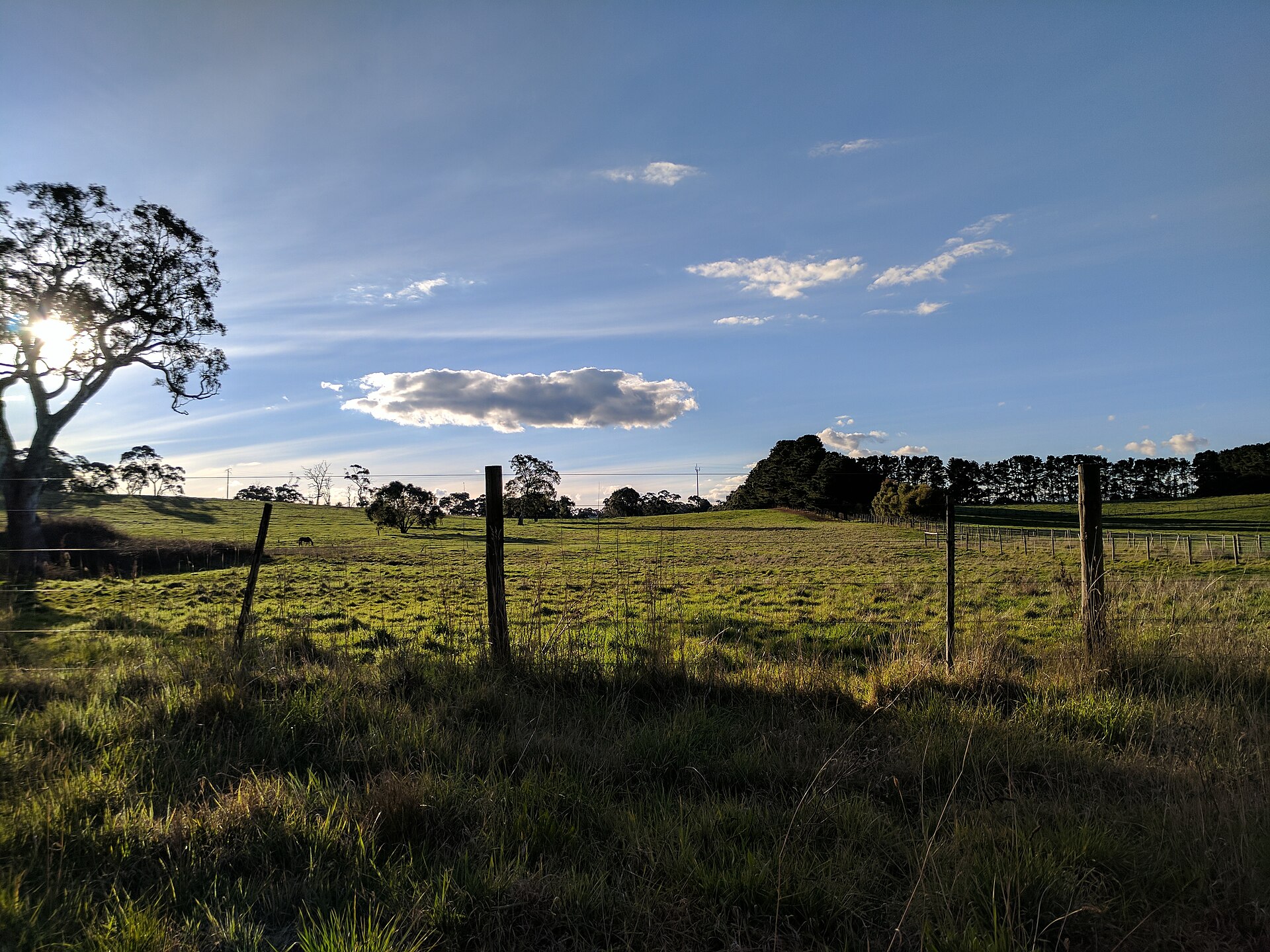 Nairne