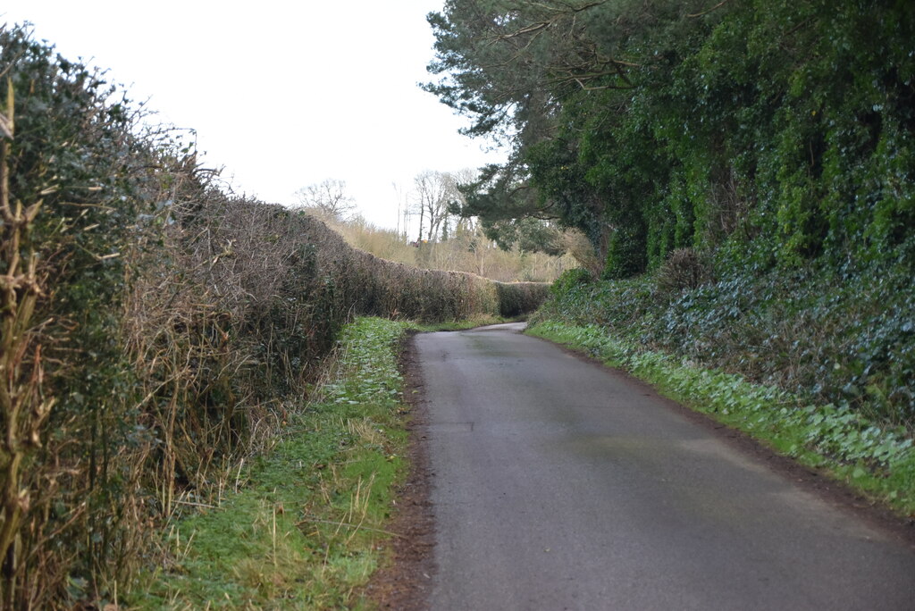 The Lane Vineyard