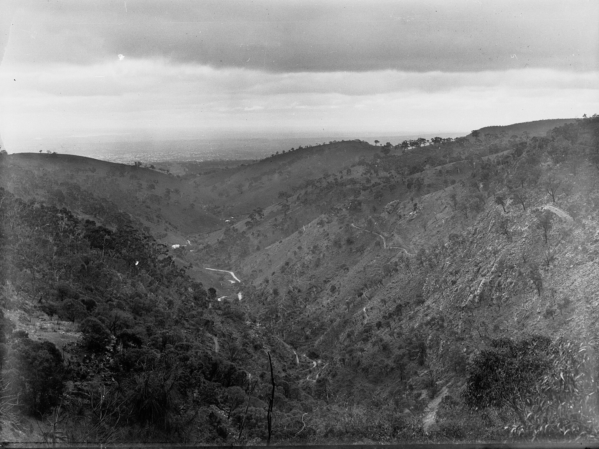 Cleland Conservation Park – Waterfall Gully to Mount Lofty