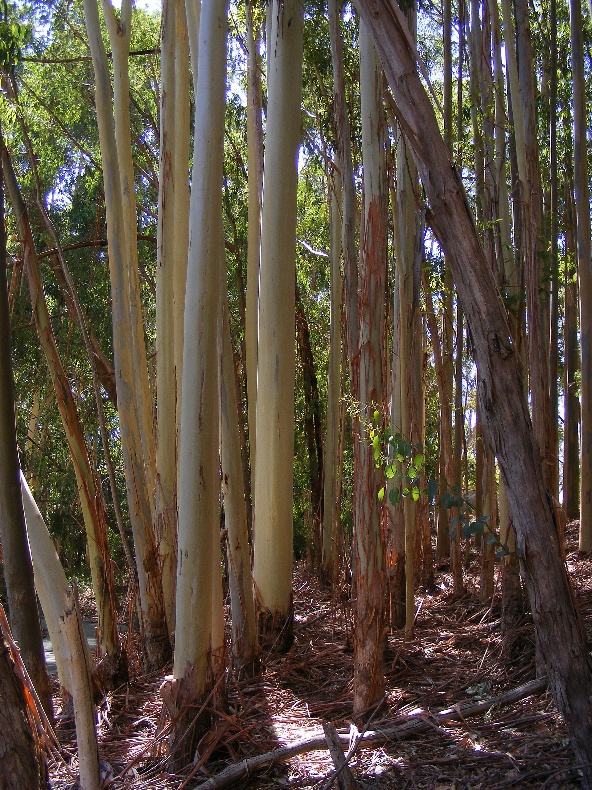 Warrawong Wildlife Sanctuary