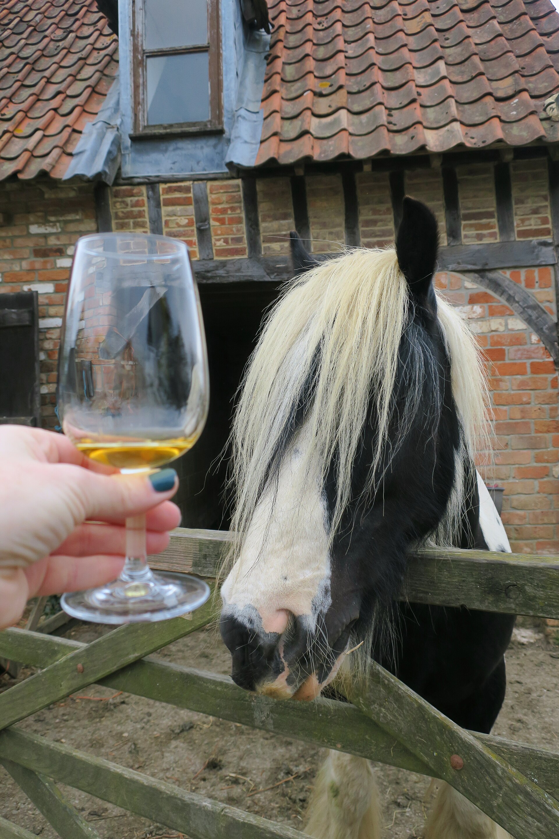 The Hills Cider Company