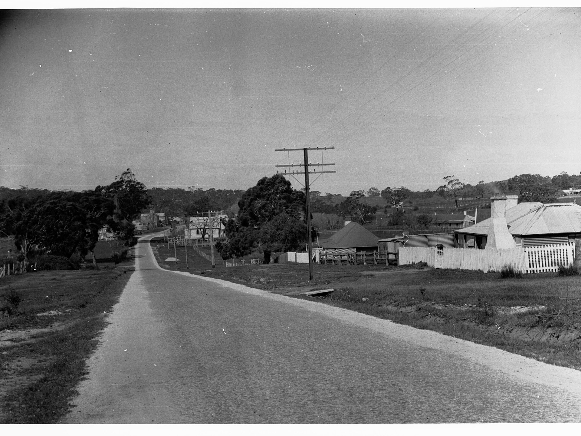 Longview Vineyard