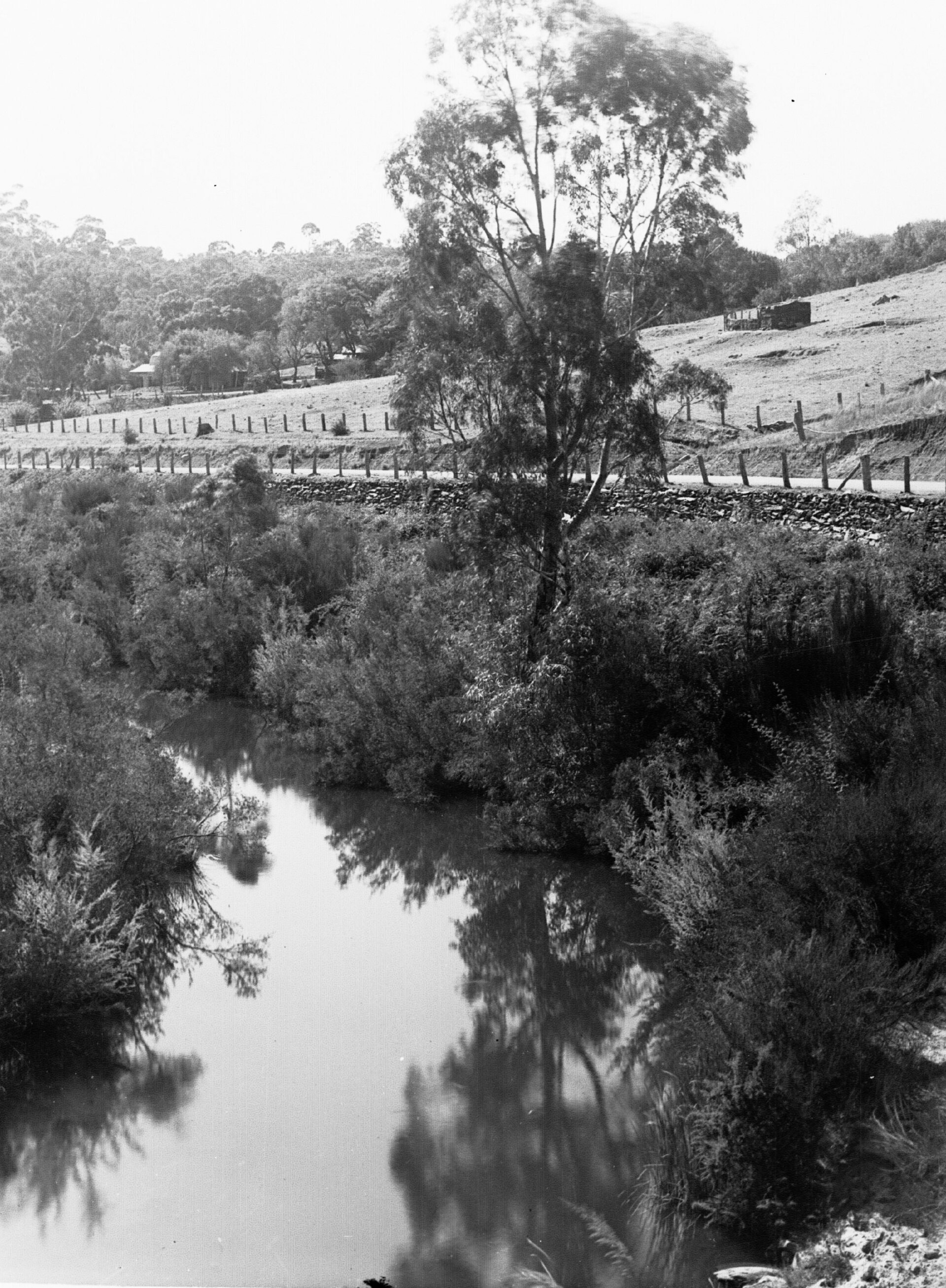 Cudlee Creek (Gorge Wildlife Park)