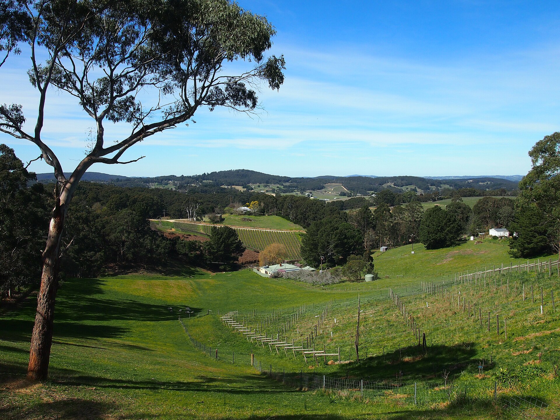 Cleland Gully Lookout