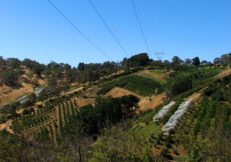 Sinclair's Gully