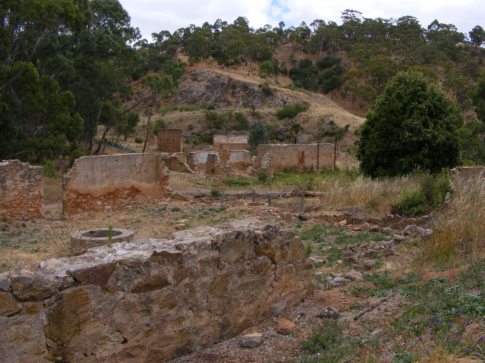 Newman's Nursery Ruins