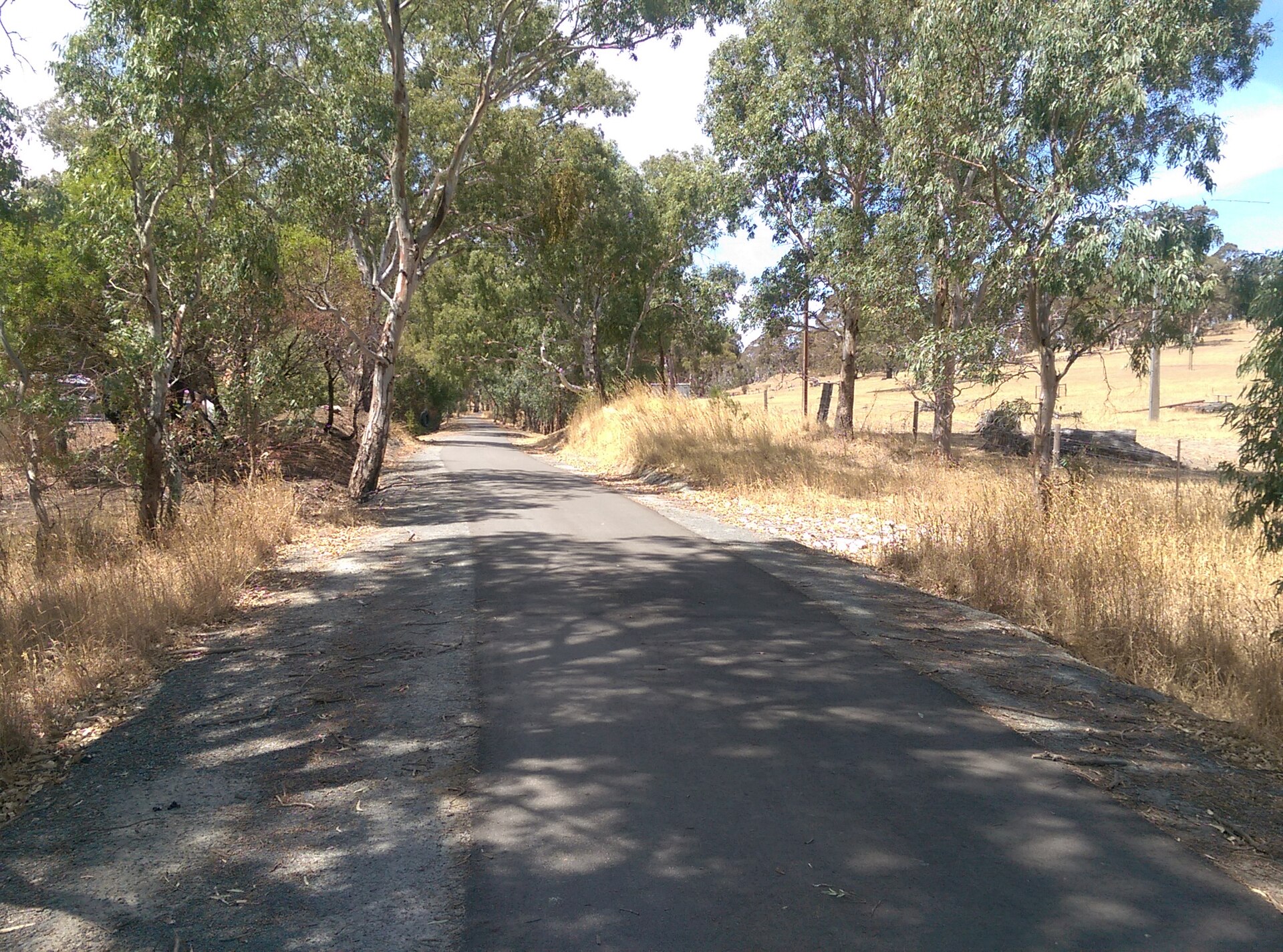 Amy Gillett Bikeway