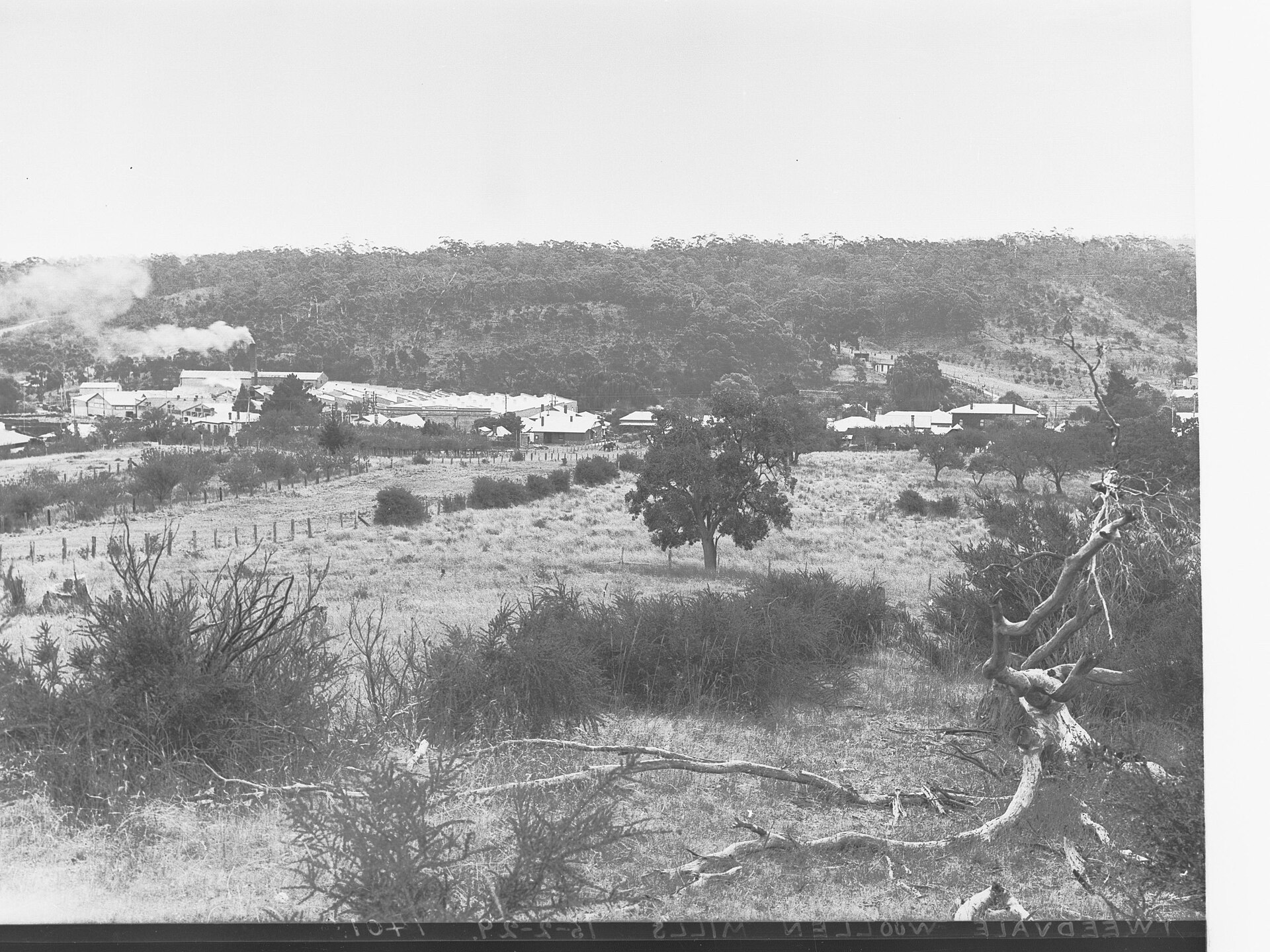 Lobethal Bierhaus