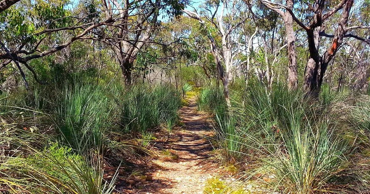 Warren Conservation Park