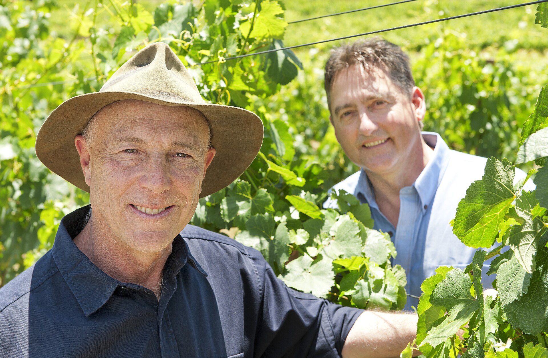 Cool-climate wines of the Adelaide Hills