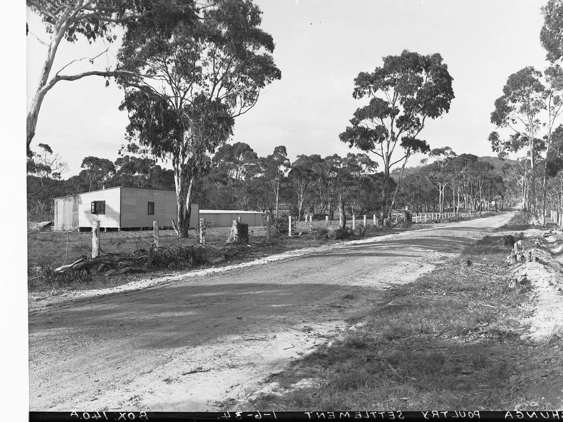 Gold fever in the Adelaide Hills